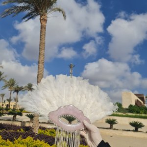 Resin Feather fan for brides