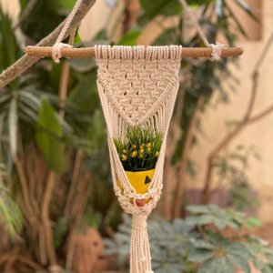 Macrame plant hanging for decoration