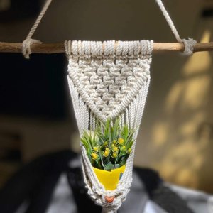 Macrame plant hanging for decoration