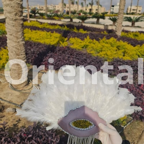 Resin Feather fan for brides