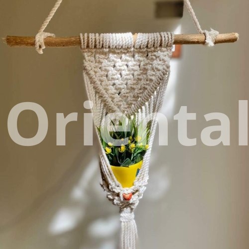 Macrame plant hanging for decoration