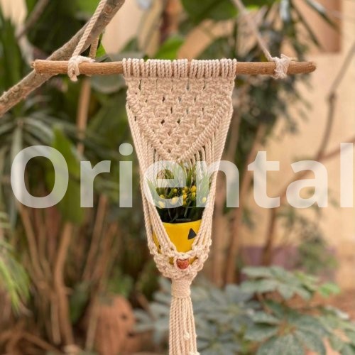 Macrame plant hanging for decoration