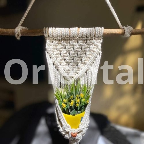 Macrame plant hanging for decoration